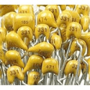 CAP Multilayer Capacitor&MAILAR