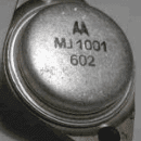 MJ1001
