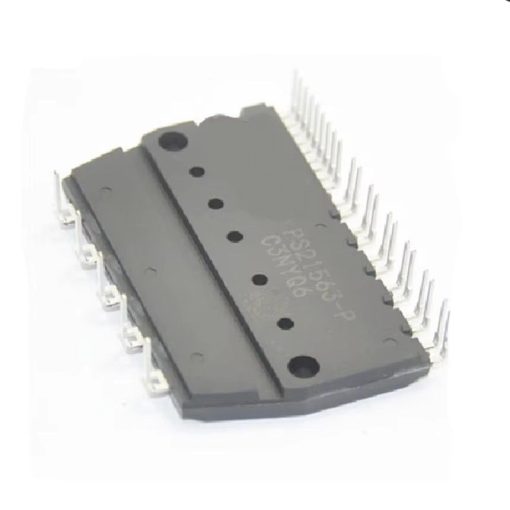 PS21563-P