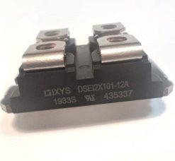 DSEI2X101-12A